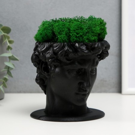 Concrete Kashpo "David" with moss black 11.5x15.5x12 cm (moss green stabilized)