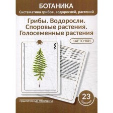 Ботаника. Систематика грибов, водорослей, растений. Грибы. Водоросли. Споровые растения.