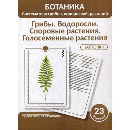 Botany. Systematics of mushrooms, algae, plants. Mushrooms. Seaweed. Spore plants.