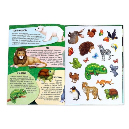 Activity a book with stickers and growing toys "Animal World", 12 p.-1