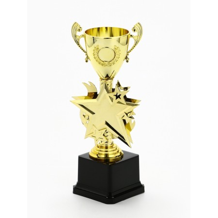 Cup 193, award figure, gold, plastic stand, 23 x 9 x 7.5 cm-1