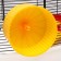 The cage for rodents is equipped, 48 x 35 x 34 cm, red