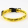 Set Off-Cat, fastener-fastx, leash 2 m and collar 28-46 cm