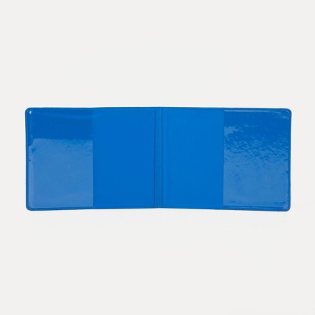 Cover for a student ticket, blue color-2