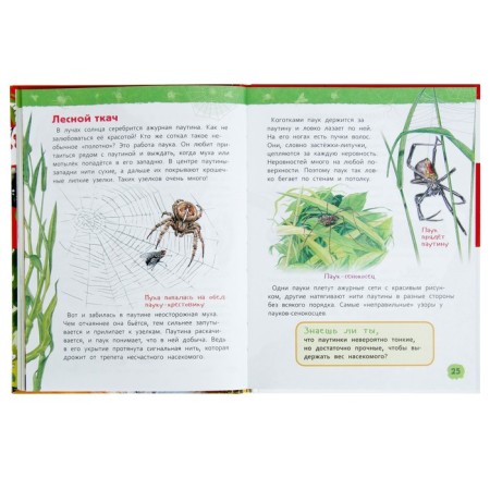 Encyclopedia for kindergarten "in the forest"-4