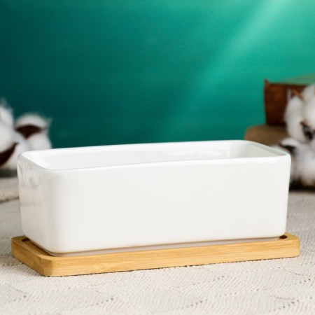 Pot "Bonsike" for cacti and succulents, 17x8x6cm-1