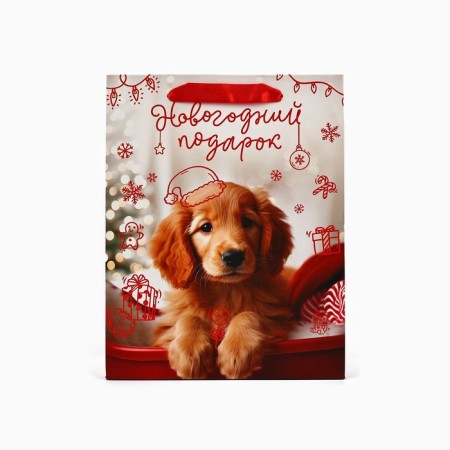 Laminated horizontal "New Year gift", MS 18 x 23 x 10 cm, New Year-2