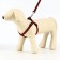 Acunition set of embossed, leash 120 x 1.5 cm, OG 36-49 cm, red-black