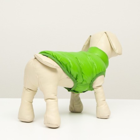 Dog jacket two -sided with print, size 10 (ds 23 cm, OG 34 cm, Osh 24 cm), green-2
