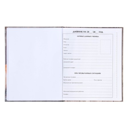 Universal diary for grades 1-11, "spitz", solid cover 7BC, glossy lamination, 40 sheets-4