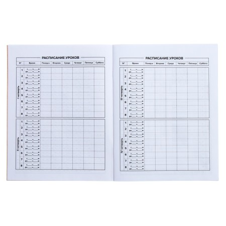 Universal diary for grades 1-11, 48 sheets "Crazy Panda", soft cover, selective UV-fluid, matte lamination-6