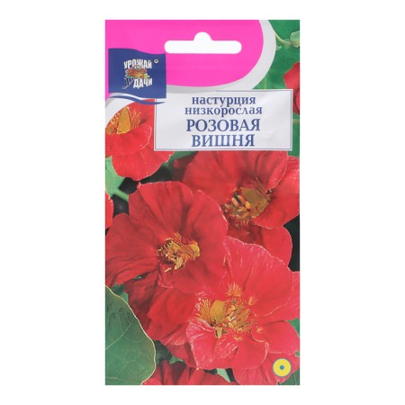 Flower seeds nasturtium "Pink Cherry", 1g