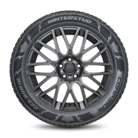 Winter -haired tire of the Compassal Winter Stud 235/55 R19 105T-4