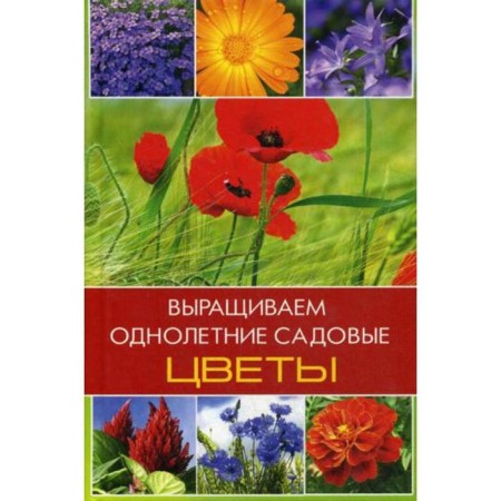 We grow annual garden flowers. Lazareva O.V.