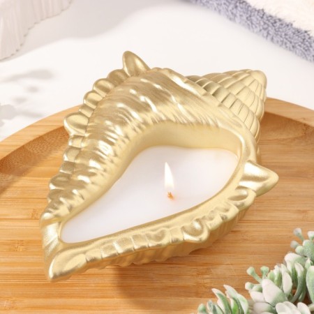 Candle "shell" in the candlestick of gypsum large, 17x11x5.5cm, gold