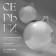 Earrings Metal "Chord" hemisphere, silver color