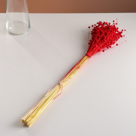 A set of dried flowers "Lenon-debunge", banch length 55-60 (+/- 6 cm), red-3