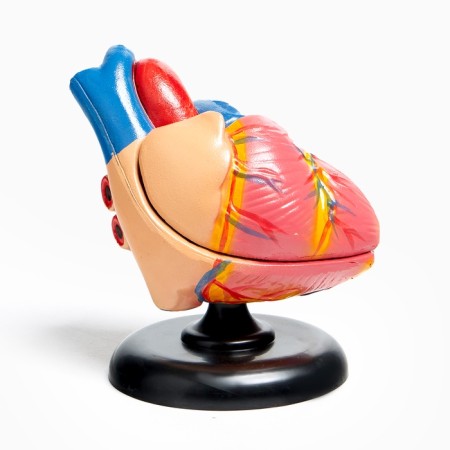 Matcage "Human Heart" 14*10cm-5