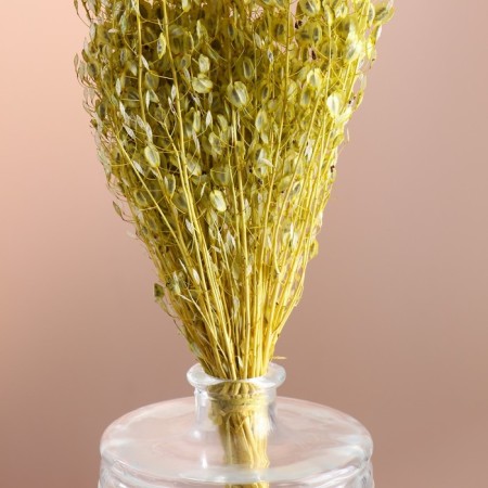 Set of dried flowers "Monetnik", banch length 60 (+/- 6 cm), green-1