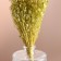 Set of dried flowers "Monetnik", banch length 60 (+/- 6 cm), green