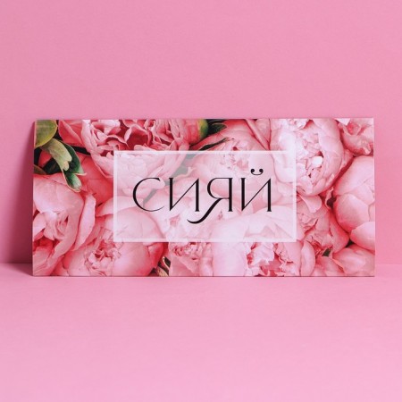 Gift envelope with the inner pocket "Shine", flowers, 20 × 9.5 cm