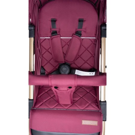 Walking stroller Farfello Comfy Go Cg, Cherry Color-11