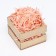 Filler with silence, peach, 50 g