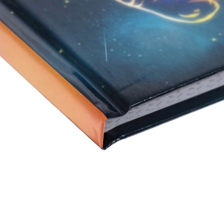 Notebook of 105 x 140 mm, 64 sheets "Tigers", solid cover, glossy lamination-2