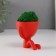 Kashpo concrete mini "Mr. Green" Ivazaru with Moss red 5.5x6.5x6.5 cm (moss green stabil)
