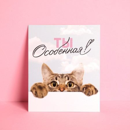Instagram postcard "You are special", cat, 8.8 × 10.7 cm