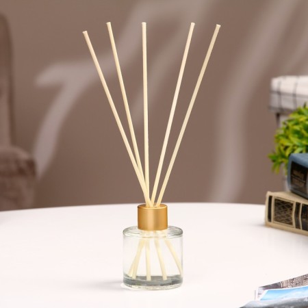 Aromatic diffuser "Solo" 50 ml mint rain-1