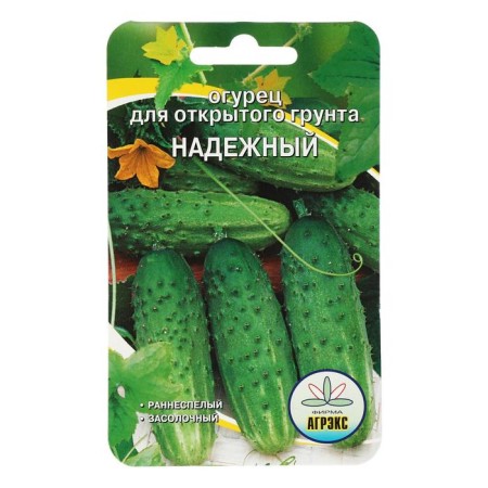 Cucumber seeds reliable 10 pcs