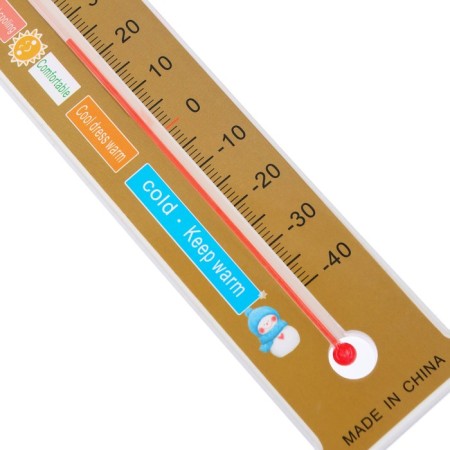 The thermometer is an indoor "Bear with glasses", color mix-6