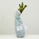 Rosa Wight Rabbit, spring 2024, 1 pc.