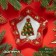 Glass Glass Daulay "New Year's spruce", 160 ml, 13.3 × 3.6 cm