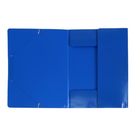 A4, 500 μm elastic band, calligrata, spine 4 mm, up to 300 sheets, embossing "sand", blue-2