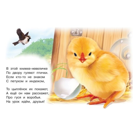 Домашние птицы-2