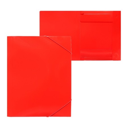A4, 500MKM, calligrata elastic band on elastic band, root of 25 mm, up to 230 sheets, embossing "sand", red-4