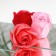 Soap roses, colored shades, set of 18 pcs.
