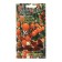 Seed Tomat "Michurinsky Sweet" 0.03 g