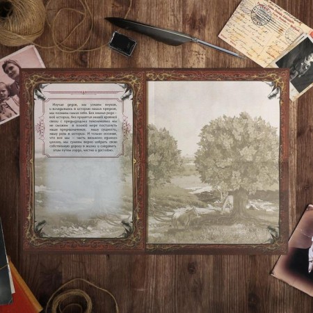 The genealogy book in the box with a pen and ink “Tree”, 56 sheets, 26 x 24 x 7 cm.-20