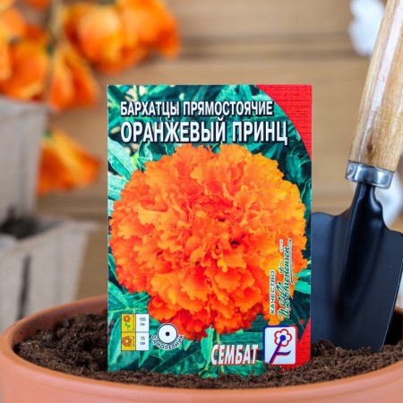 Flower seeds marigolds “Orange Prince”, o, 0.1 g
