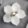 Menzhitsa ceramic 5 cells Magistro "Dove", 15.5 × 6.5, white color with gold