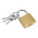 The castle of the hinged type 14, 36x60 mm, 3 keys