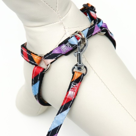 The ammunition set is two-layer, size S, leash 120 x 1 cm, Osh 24-38 cm, OG 29-41 cm, multi-colored-3