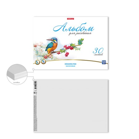 Album for drawing A4, 30 sheets, block 120 g/m², glue, Erich Krause "Birds", 100% whiteness, solid substrate-1