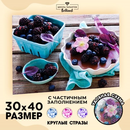 Diamond mosaic with round rhinestones with partial filling "Berries", 30 x 40 cm. Set for creativity-2