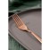 Table Table of stainless steel Magistro "Amy", 20.5 × 2.5 cm, on suspension, bronze color