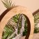 Interior souvenir in the wooden ring "Dancer" 30x8x33 cm