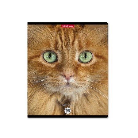 Notebook A5 96 sheets in a cage, Erichkrause "Cats", covered Cardboard, matte lamination, selective UV-LK, OFSET 100% White, MIX (1 species in Spike)-11